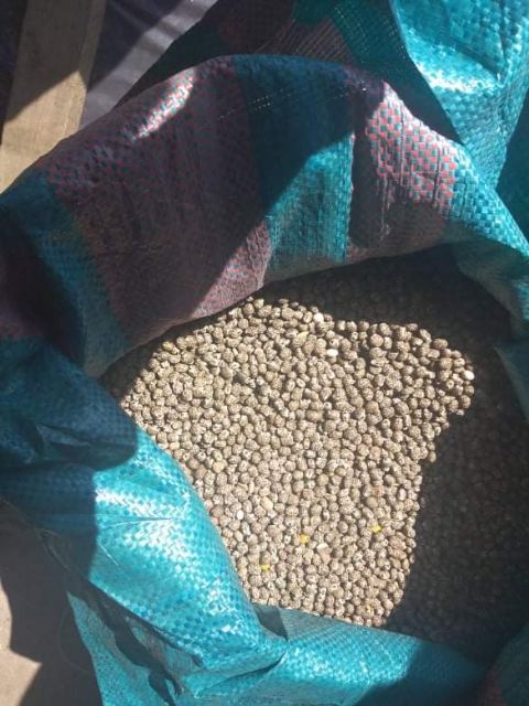 I will sell narrow-leaved bitter lupine