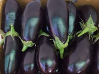 I am selling Aragonese eggplant