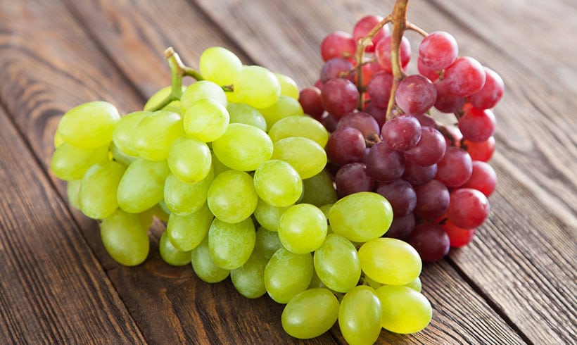 red grape red globe Yunnan grape fresh fruit exporter Kindly WhatsApp for more details