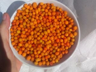 Selling sea buckthorn from spontaneous flora, we offer large
