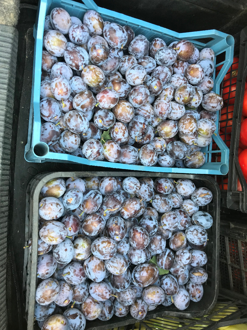 The country of origin of the prunes Romania, Giurgiu county