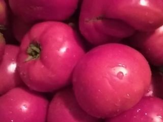 I am selling naturally grown garden tomatoes. Personal consumption.