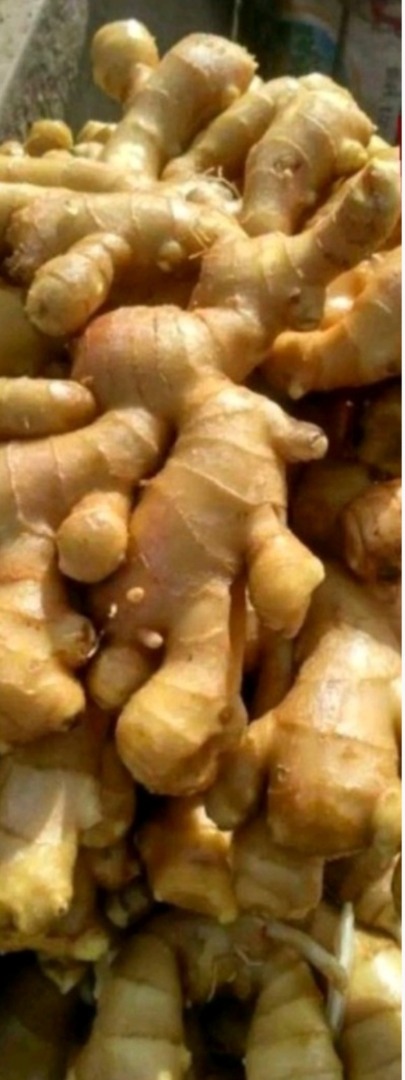 Best organic ginger grown locally in Uganda without any chemicals used