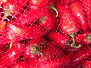Hello, I will sell hot pepper, cyclone Rwana variety,
