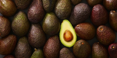 We are a company that focuses on trading and exporting the best products that Mexico has to offer