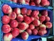 We are a company that focuses on trading and exporting the best products that Mexico has to offer