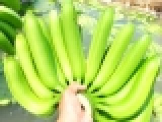 WHATS APP ONLY We are exporting COMPANY LIMITED, one