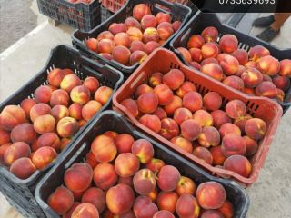 We offer quality peaches B, C, A, AA, AAA