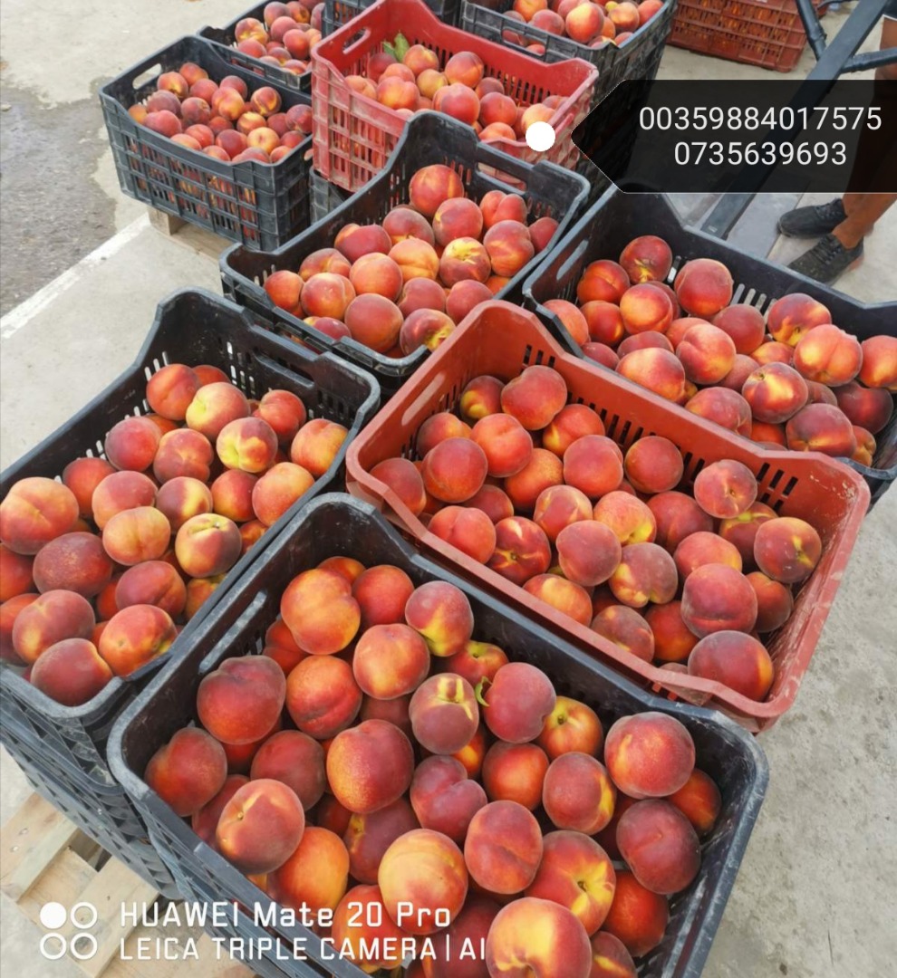 We offer quality peaches B, C, A, AA, AAA and AAAA