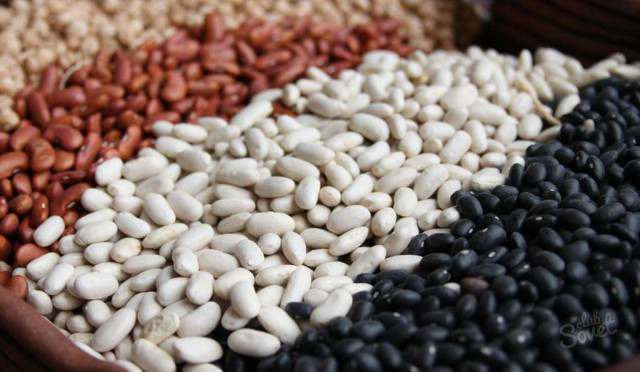 We export quality beans from Ukraine