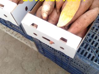We are ALshams for general import and export .