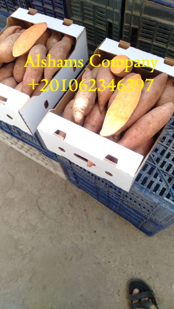 We are ALshams for general import and export