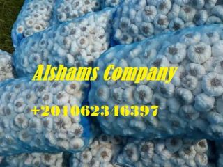 We are ALshams for general import and export .
