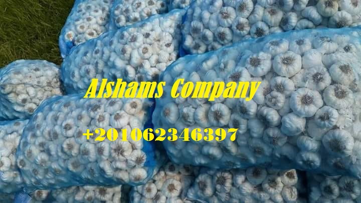 We are ALshams for general import and export