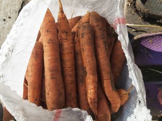 Price: negotiable depending on the desired quantity. Local producer