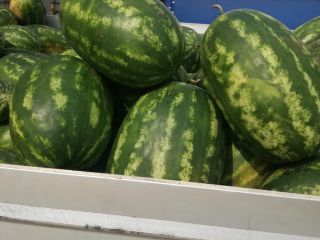 Product coming from the island of Capo Rizzuto, CALABRIA