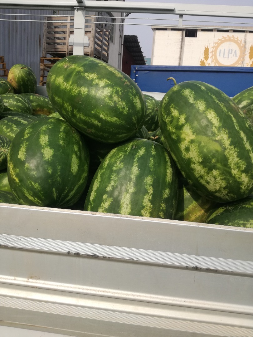 Product coming from the island of Capo Rizzuto, CALABRIA