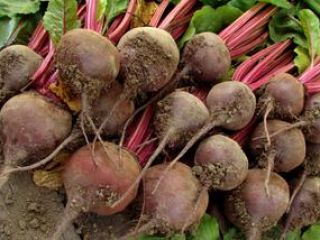 I will sell red beetroot, round wodan and longitudinal