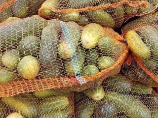 I will sell large amounts of cucumber up to