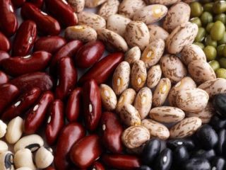 Beans from Ukrainian fields, new crop, wholesale. All accompanying
