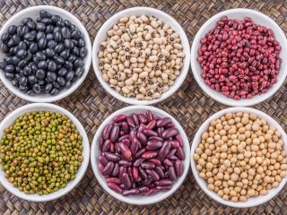 Bins Naturproduct sells high-quality beans with delivery across Europe