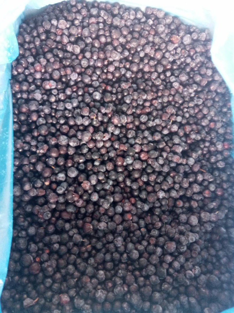Forest blueberry for sale from Ukraine