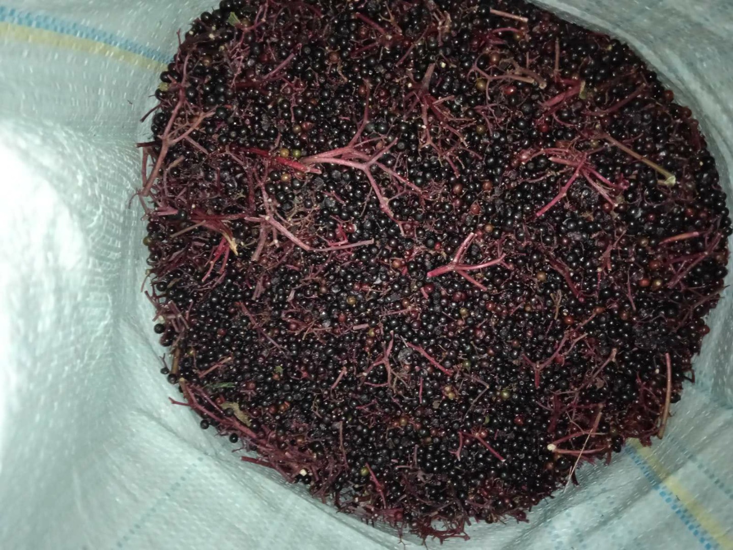 I will sell frozen elderberry from Ukraine