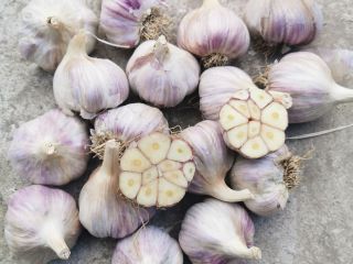 Harnaś garlic for sale. Healthy, segregated. Perfect for consumption,