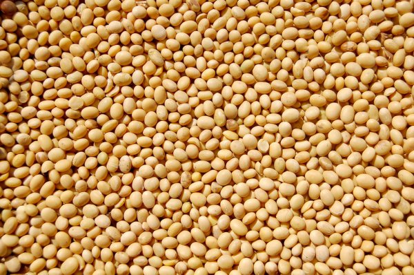 Average price of soybeans from € 408 and above per tonne, shipped separately on FOB terms