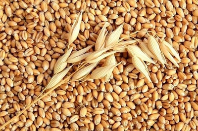 Average price for yellow maize from 233 Euro and above per ton, delivered separately on FOB terms