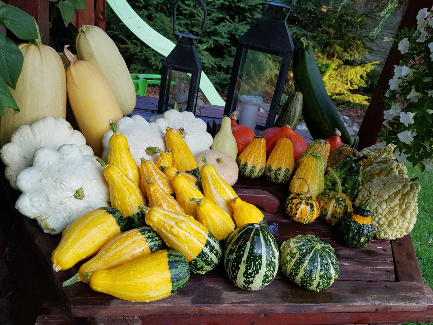 I will sell a large number of beautiful, fresh pumpkins suitable for various dishes, purée soups and other .