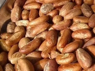Type: bitter kola Nuts (Garcinia Kola) Crude Protein (