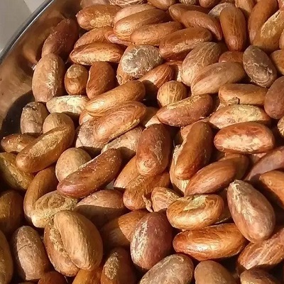 Type: bitter kola Nuts (Garcinia Kola) Crude Protein ( N X 6.25): 8.06%, Ash: 2.55% Crude Fibre: 2.18% Nitrogen ( Non Protein): 0.88% Nitrogen-Free Extract :