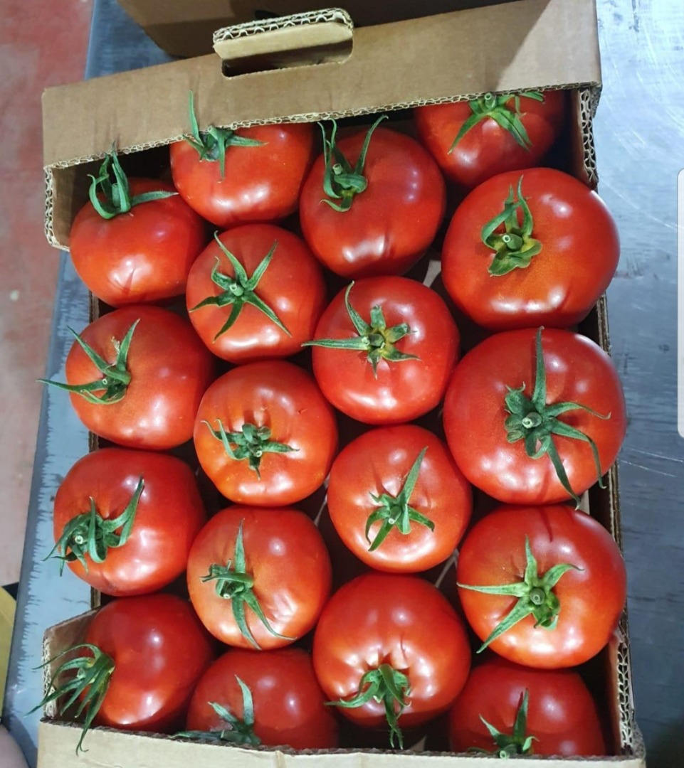 we are a family company which has a 15 years of experience in fresh fruit and vegetable supplies sector