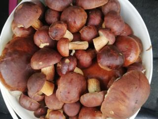 for sale 5 l mushrooms for PLN 50.