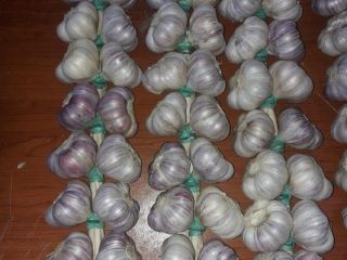 POLISH HARNAŚ GARLIC - aromatic, intense. 1. A braid