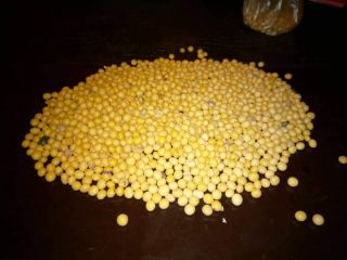 200 tons of soybeans for sale, 200 tons. Soybeans