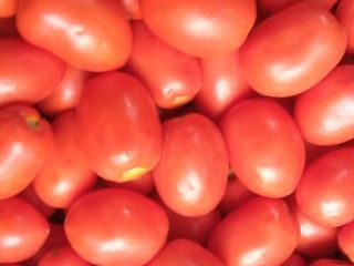 I will sell Lime field (Dyno) wholesale-retail For more