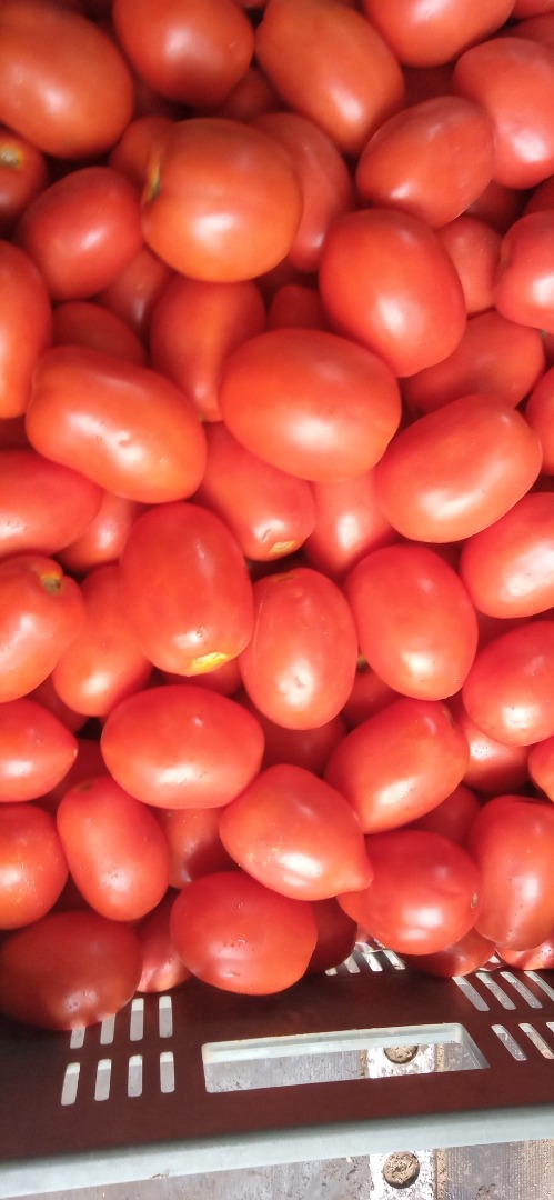 I will sell Lime field (Dyno) wholesale-retail For more information, call
