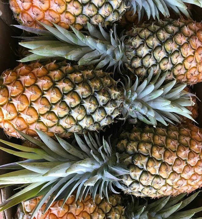 Fresh Cayenne pineapples