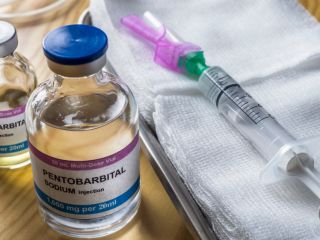 Nembutal (Natriumpentobarbital-Pulver, Flüssigkeit und Pillen) ist das meistverkaufte Barbiturat