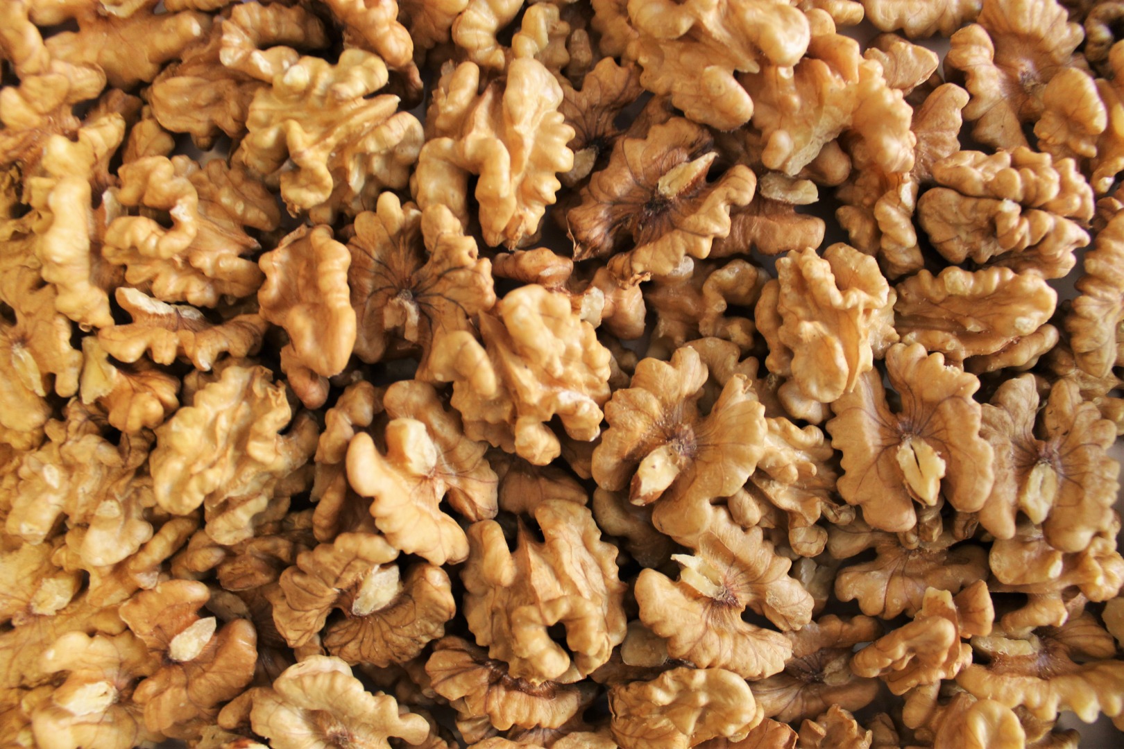 I sell shelled Ukrainian nuts at a good price