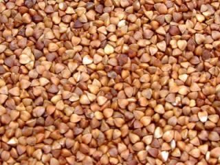 We are cereals, legumes and other products packer and
