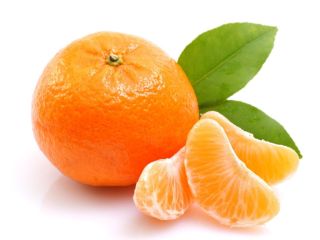 Quality and organic agricultural products from Iranian farms of
