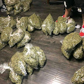 We are licence growers and Suppliers of Top Shelf Pure Quality Medical Marijuana and Pain killers medications worldwide