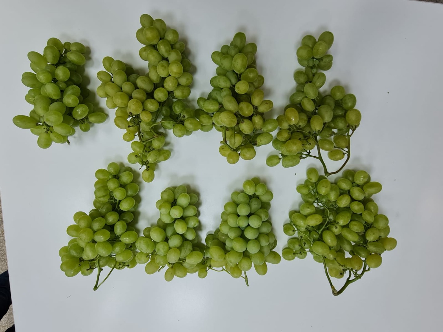 Dining room, dessert form of grapes