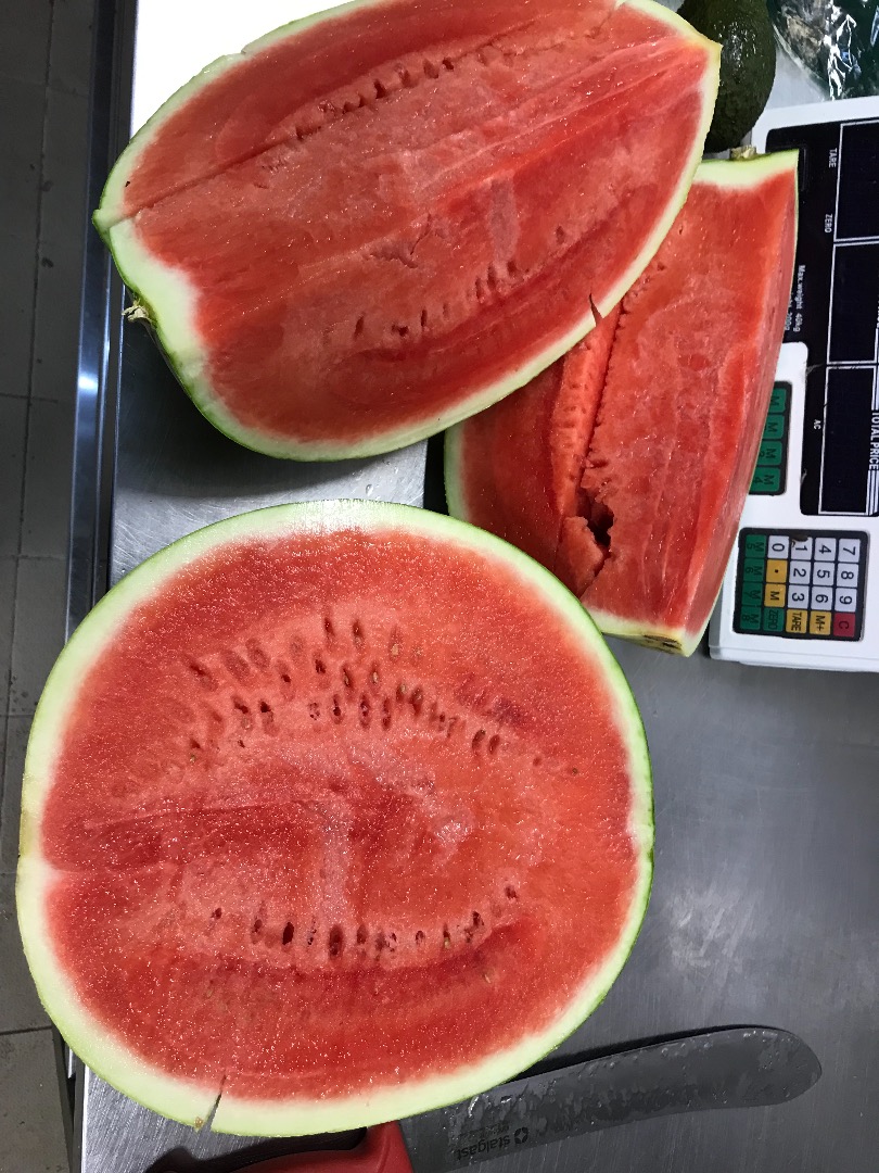 I will sell a seedless watermelon, spain sweet origin