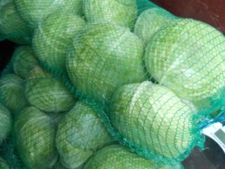 Autumn cabbage for sale in Halmeu, Satu-Mare County, price