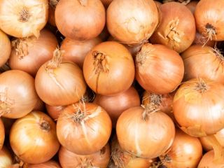 Onions of various types and thicknesses.