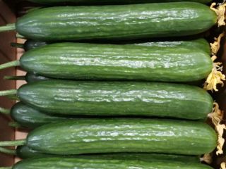 Meva cucumbers. The goods are located in Poland. Payment